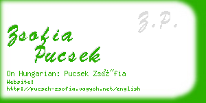 zsofia pucsek business card